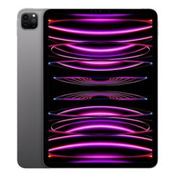 iPad Pro 11 4th Gen - 1 TB
