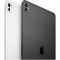 IPAD PRO M4